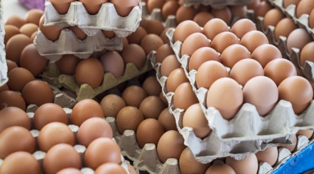 Foto - Rusya'da ortalık karıştı! Putin özür dileyip Türkiye'nin kapısını çaldı