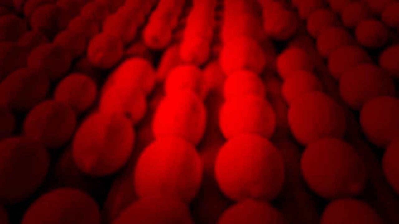 Rusya'daki krize Türkiye pansuman oldu! Tonlarca aldılar, hala 'gönderin' diyorlar