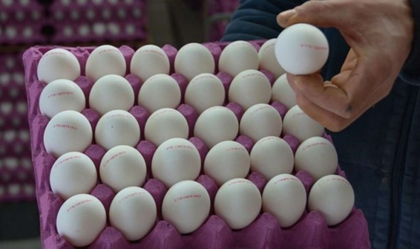 Foto - Rusya’dan flaş Türkiye kararı! Gece yarısı, herkes uyurken bu kararı aldılar