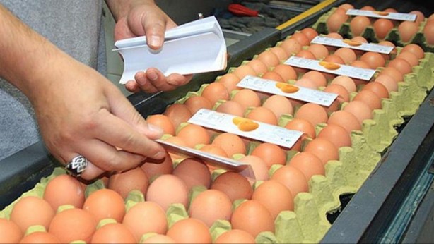 Foto - Rusya’dan flaş Türkiye kararı! Gece yarısı, herkes uyurken bu kararı aldılar