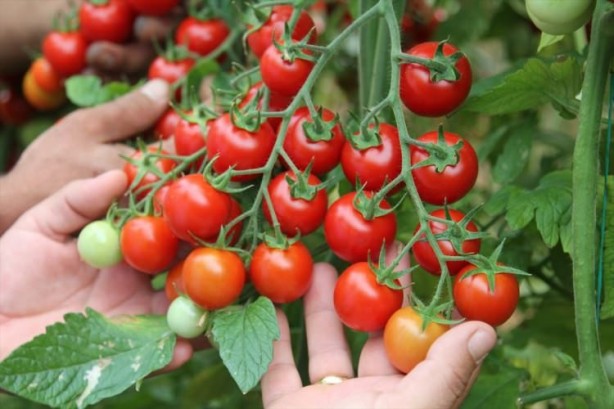 Foto - Rusya'dan flaş Türkiye kararı! Tüm dünyaya böyle duyurdular