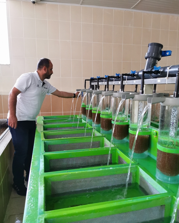 Foto - Rusya'dan getirildi... Türkiye'de üretilecek!