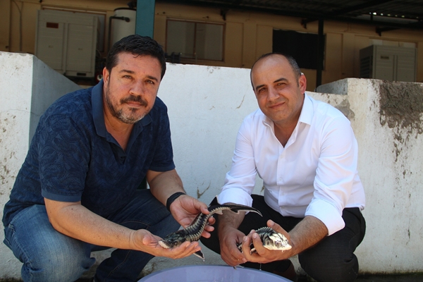 Foto - Rusya'dan getirildi... Türkiye'de üretilecek!