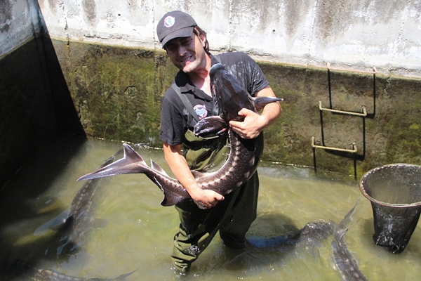 Foto - Rusya'dan getirildi... Türkiye'de üretilecek!
