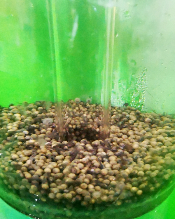 Foto - Rusya'dan getirildi... Türkiye'de üretilecek!