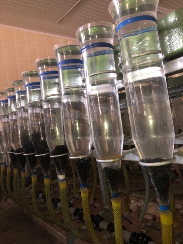 Foto - Rusya'dan getirildi... Türkiye'de üretilecek!