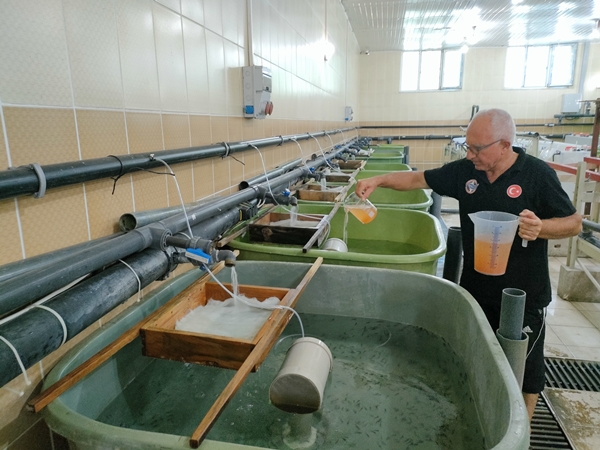 Foto - Rusya'dan getirildi... Türkiye'de üretilecek!