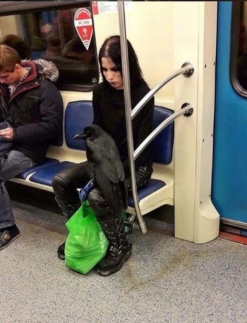 Foto - Rusya'dan inanılmaz görüntüler! Böylesi başka ülkede yok