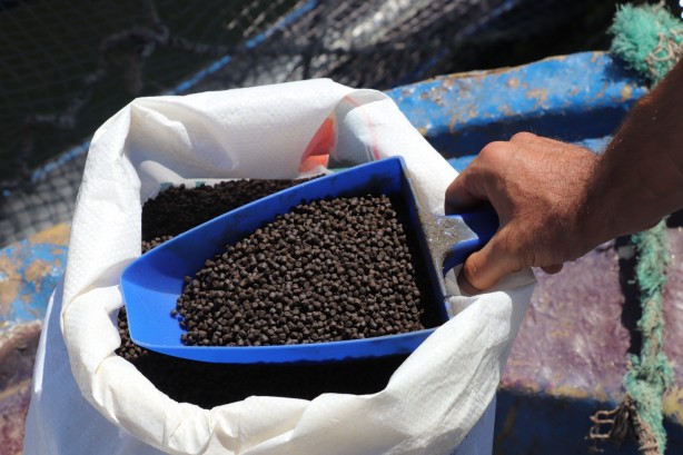 Foto - Rusya’dan Japonya’ya kadar gönderiliyor Denizi olmayan şehirden müthiş başarı