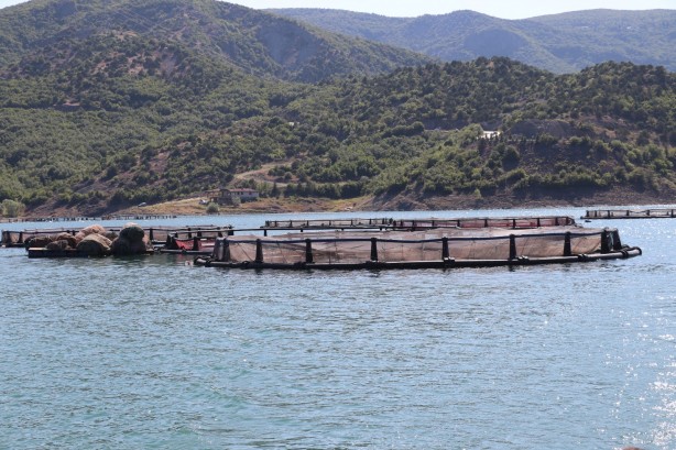 Foto - Rusya’dan Japonya’ya kadar gönderiliyor Denizi olmayan şehirden müthiş başarı