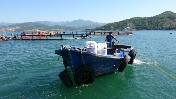 Foto - Rusya’dan Japonya’ya kadar gönderiliyor Denizi olmayan şehirden müthiş başarı