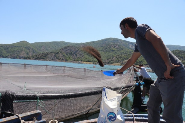 Foto - Rusya’dan Japonya’ya kadar gönderiliyor Denizi olmayan şehirden müthiş başarı