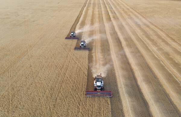 Rusya'yı sarsacak gelişme! Şok içerisinde duyurdular: Türkiye satın almayı durduruyor