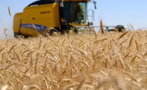 Foto - Rusya'yı sarsacak gelişme! Şok içerisinde duyurdular: Türkiye satın almayı durduruyor