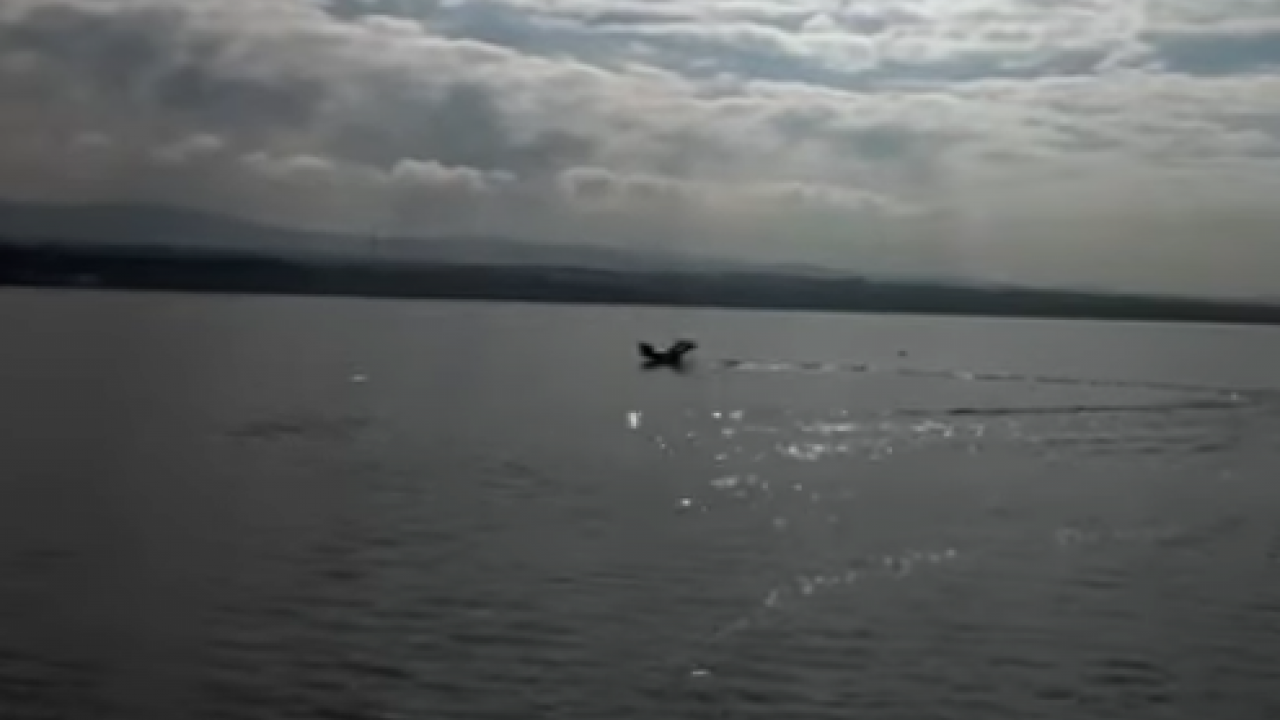 Foto - Rusya'yı vurmaya hazırlanan ülkede Türkiye'nin hayalet kamikaze İHA'sı gündem oldu: Tespit edilemiyor