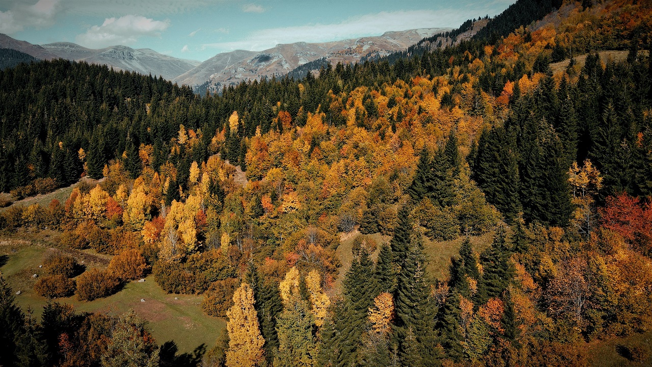 Foto - Rutav Gölü'nde büyüleyici atmosfer