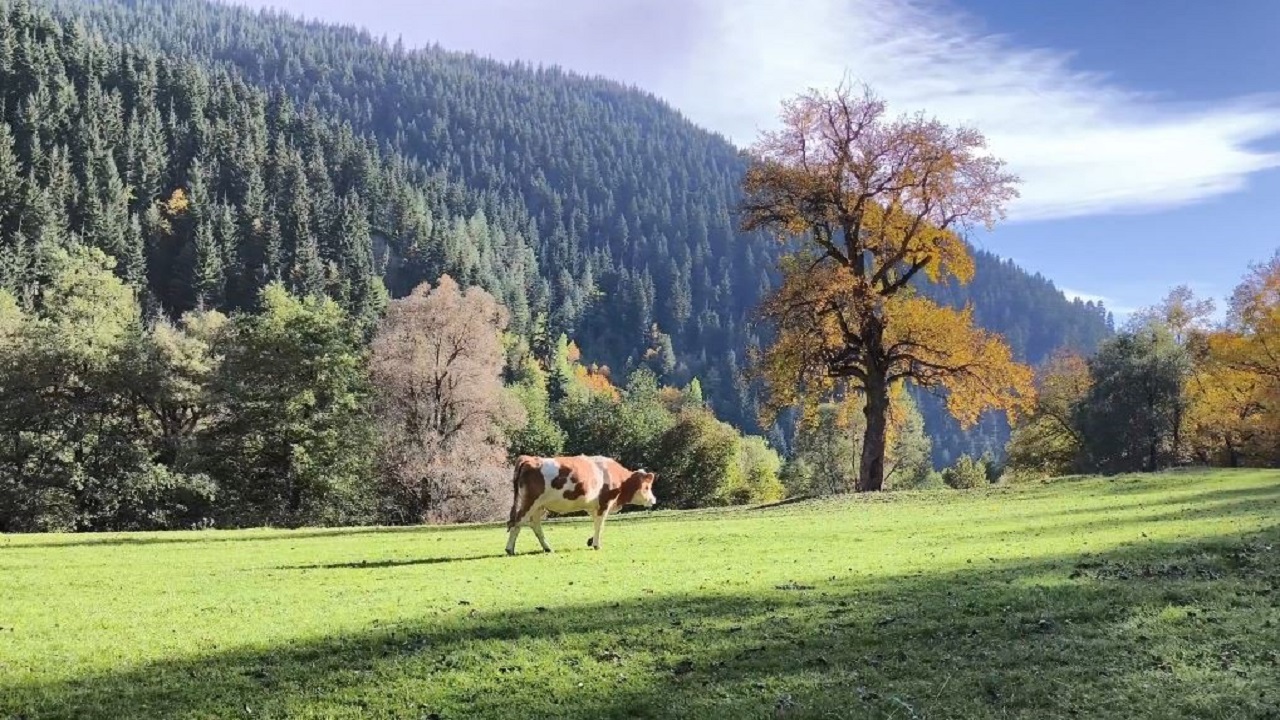 Foto - Rutav Gölü'nde büyüleyici atmosfer