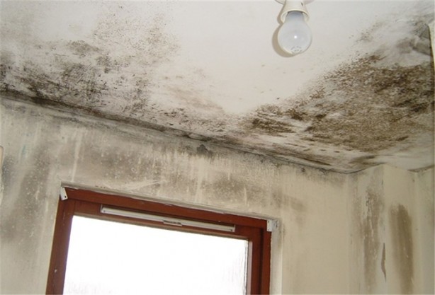 Foto - Rutubetten böyle kurtulun!