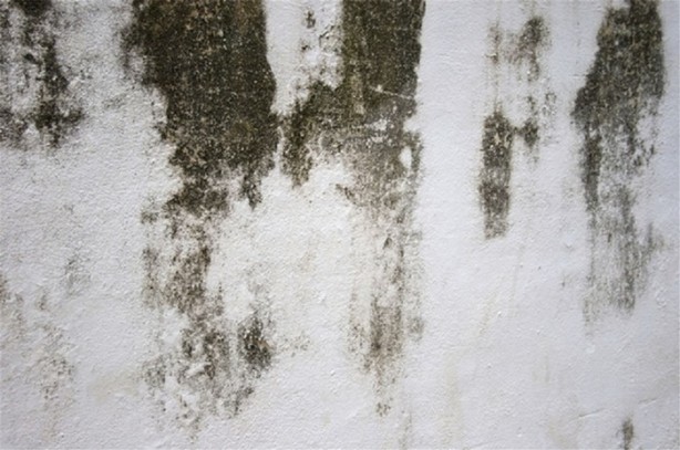 Foto - Rutubetten böyle kurtulun!