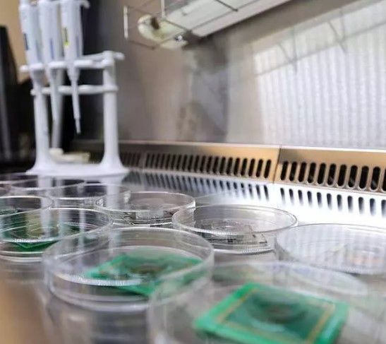 Foto - Rüya değil gerçek! İnsan beyninden bilgisayar ürettiler! 