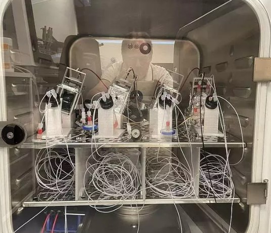 Foto - Rüya değil gerçek! İnsan beyninden bilgisayar ürettiler! 