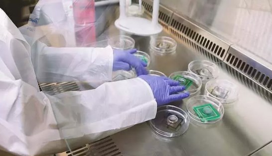 Foto - Rüya değil gerçek! İnsan beyninden bilgisayar ürettiler! 