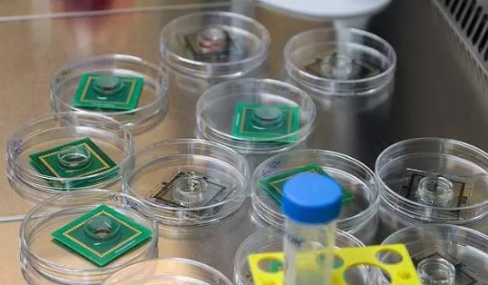 Foto - Rüya değil gerçek! İnsan beyninden bilgisayar ürettiler! 