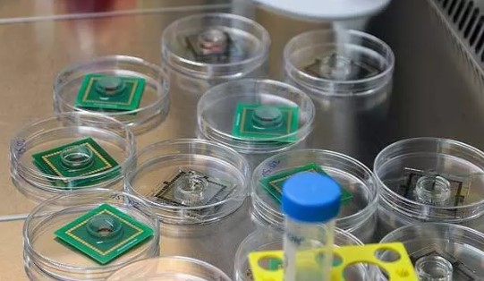 Foto - Rüya değil gerçek! İnsan beyninden bilgisayar ürettiler! 