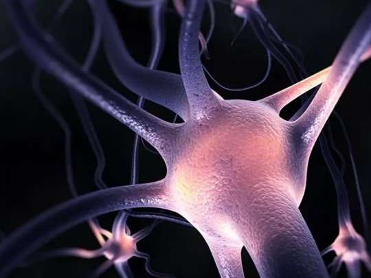 Foto - Rüya değil gerçek! İnsan beyninden bilgisayar ürettiler! 