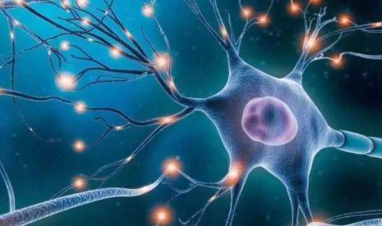 Foto - Rüya değil gerçek! İnsan beyninden bilgisayar ürettiler! 