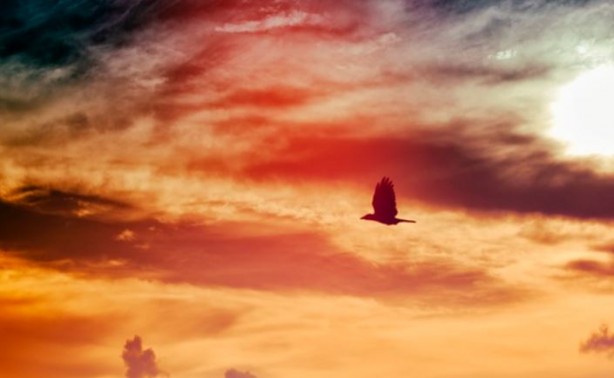 Foto - Rüyalar bile kaydediliyor! Bir sonraki aşama şoke edici