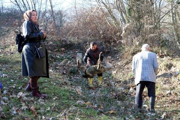 Foto - Rüyasında görüp Almanya'dan koşarak Türkiye'ye geldi! Kazı çalışması başlattı, elmas, mücevher...