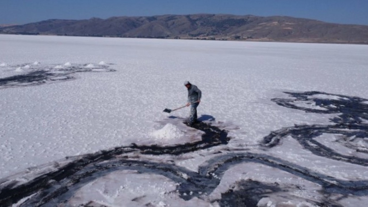 Foto - Saat 04:30 – 10:00 arasında çıkarılıyor! Bu yıl çok değerli