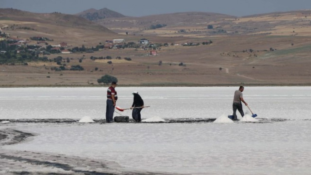 Foto - Saat 04:30 – 10:00 arasında çıkarılıyor! Bu yıl çok değerli