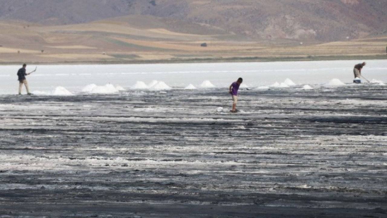 Foto - Saat 04:30 – 10:00 arasında çıkarılıyor! Bu yıl çok değerli