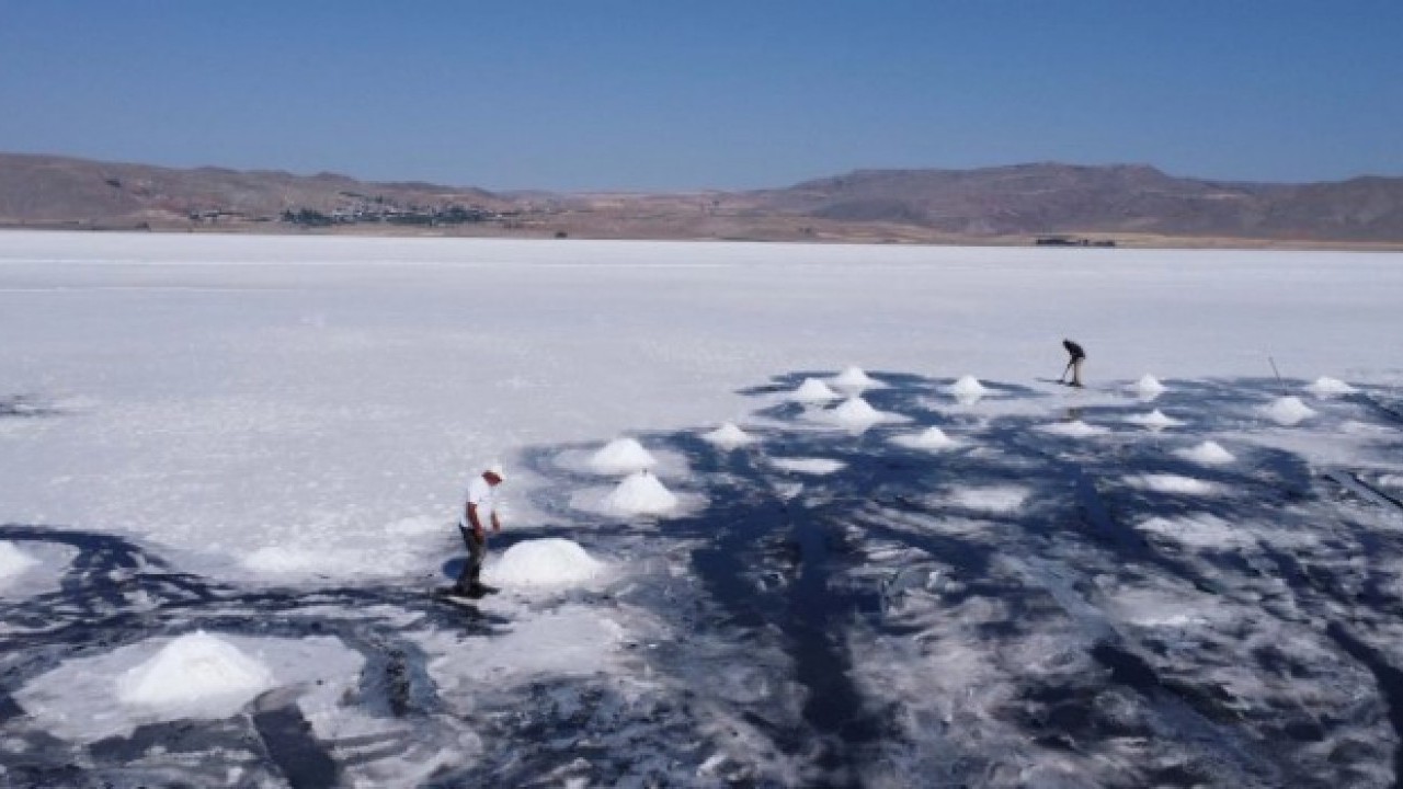 Foto - Saat 04:30 – 10:00 arasında çıkarılıyor! Bu yıl çok değerli