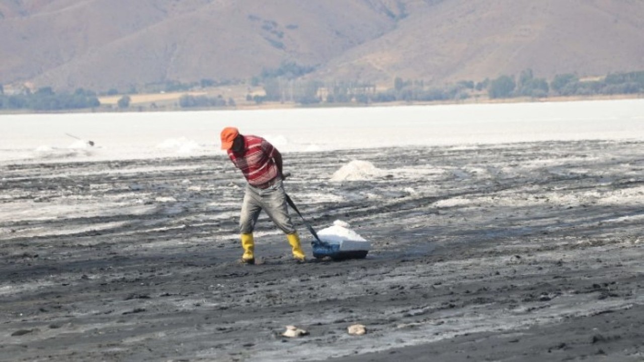 Saat 04:30 – 10:00 arasında çıkarılıyor! Bu yıl çok değerli
