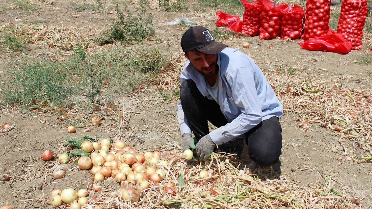 Foto - Sabah gün doğmadan başladı! 35 derecede alın teri