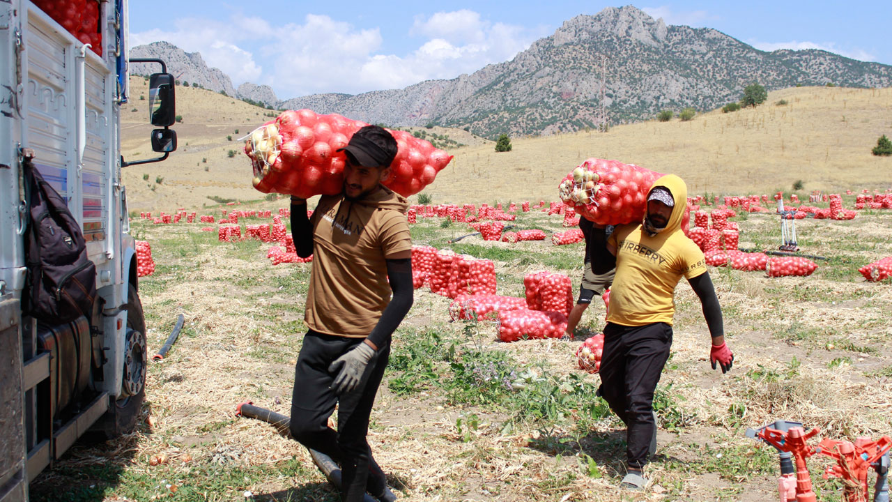 Sabah gün doğmadan başladı! 35 derecede alın teri