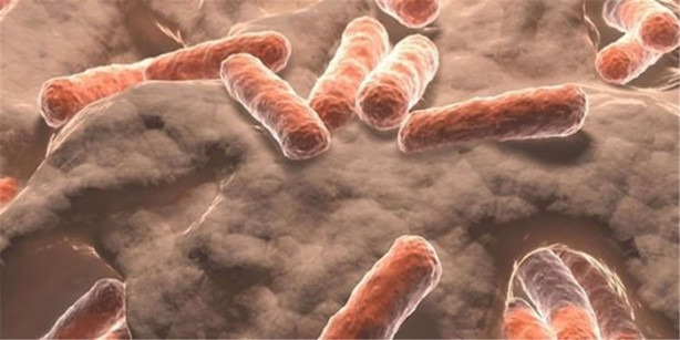 Foto - Sabah kalktığınızda bir bardak suya tükürün ve...