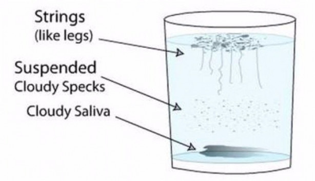 Foto - Sabah kalktığınızda bir bardak suya tükürün ve...
