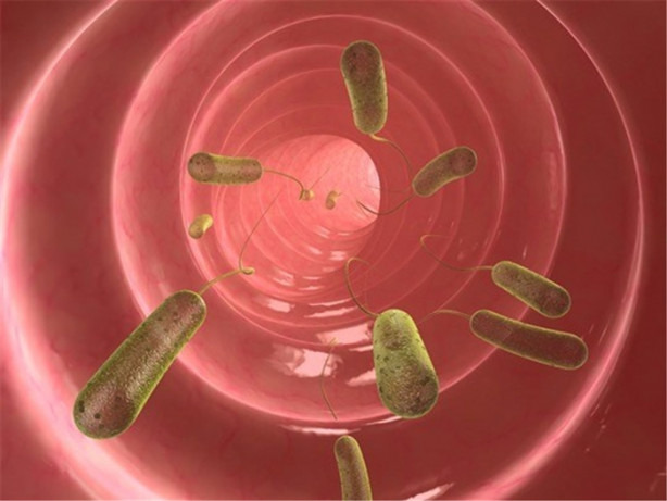 Foto - Sabah kalktığınızda bir bardak suya tükürün ve...