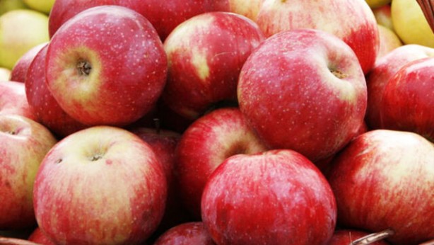 Foto - Sabah öğle akşam... Doğru saatte doğru şeyi yiyin! Günün her saatinde tam ölçüsü bakın neler 