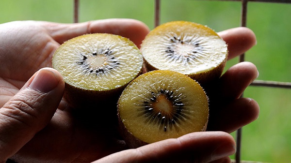 Foto - Sabah ve akşam yiyince bakın ne oluyormuş! Canan Karatay süper meyveyi açıkladı