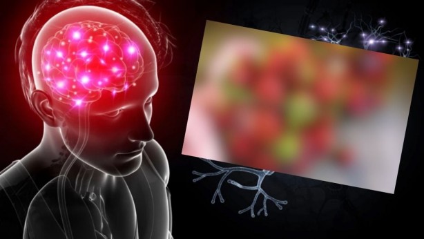 "Sabah yediğimi bile unutuyorum" diyenler, bu haber sizin için! Bu şey, unutkanlıkla savaşta bire bir! Artık avuç avuç götüreceksiniz