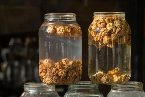 Sabahları ceviz suyu içmenin vücudunuza çok etkili faydaları! Dikkat şu mesajı veriyor: Bu taktik çalıştı