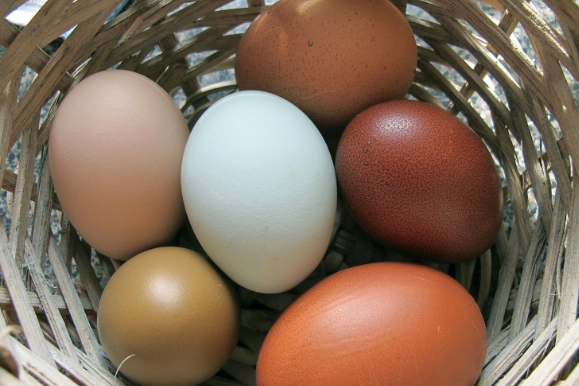 Foto - Sabahları kahvaltıda yumurta yiyenler dikkat! Mutlaka ve mutlaka bunu yapın