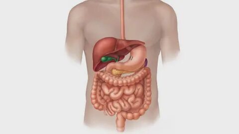 Foto - Sabahları yaşanan ağız kokusu için uzmanından 'Ciddiye alın' uyarısı: Kurtulmanın formülü ne?