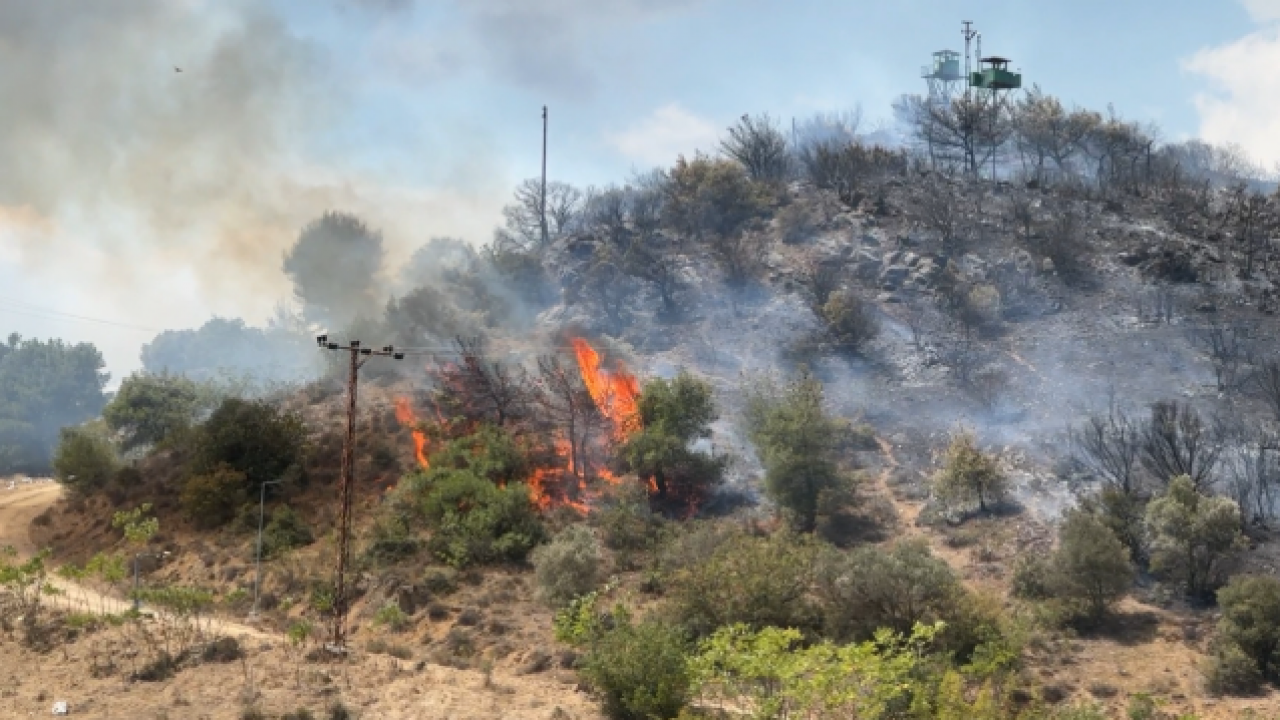 Foto - Sabotaj kokusu! Sakarya’da ağaçlık alanda çıkan yangın askeriyenin mühimmat alanına sıçradı
