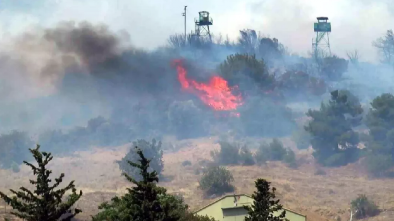 Foto - Sabotaj kokusu! Sakarya’da ağaçlık alanda çıkan yangın askeriyenin mühimmat alanına sıçradı